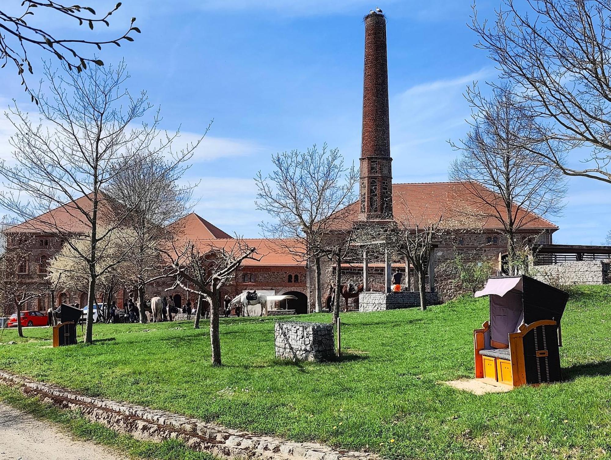 Tinyhousebeidresden 1 - Direkt Am Naturteich - Naehe Saechsische Schweiz, Dresden Großharthau 외부 사진